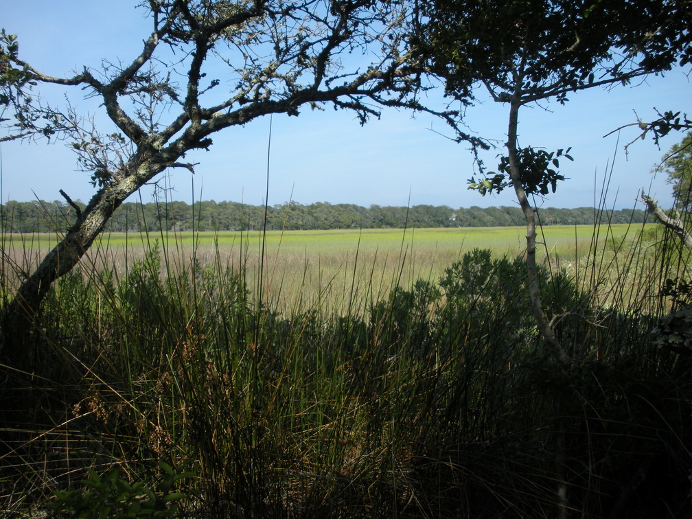 Kent Mitchell Trail